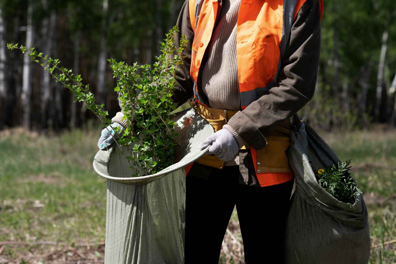 Professional Tree Service in Kennesaw, GA